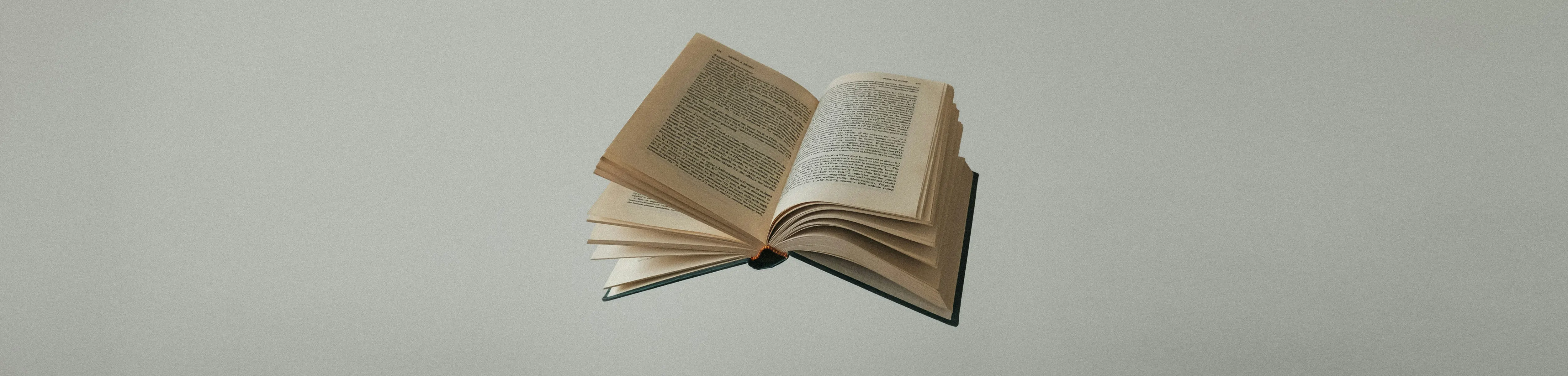 Header image